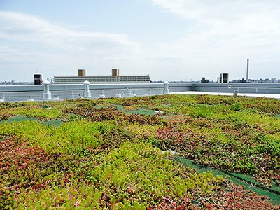 屋上緑化イメージ｜ザ・パークハウス西新宿タワー60